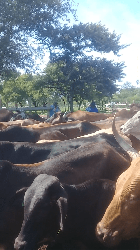 Screenshot 20240627 212542 1