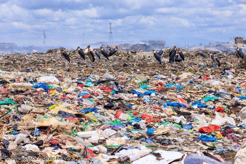 IMG-20240924-WA0009(1)