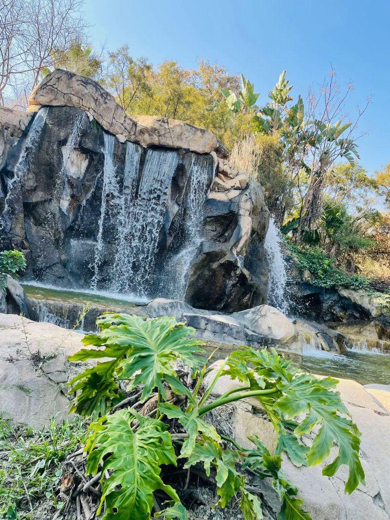 WhatsApp Image 2024-10-23 at 12.26.48_dbc27110