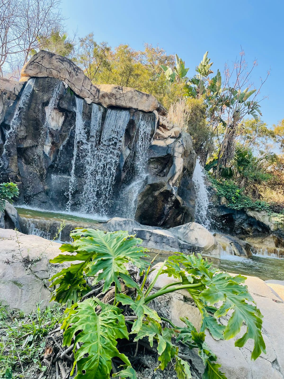 WhatsApp Image 2024-10-23 at 12.26.48_dbc27110