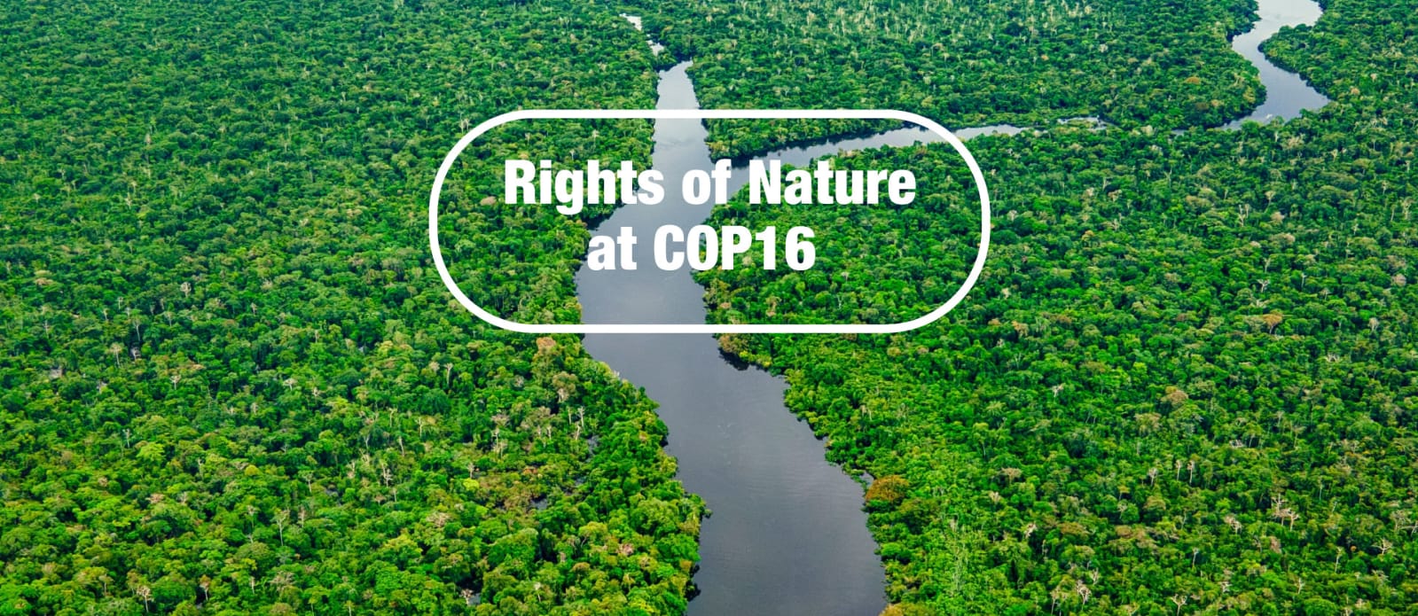 WhatsApp Image 2024-10-23 at 16.10.32_97c88175