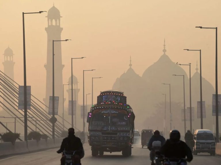 WhatsApp Image 2024-11-06 at 14.15.02_42ca0445