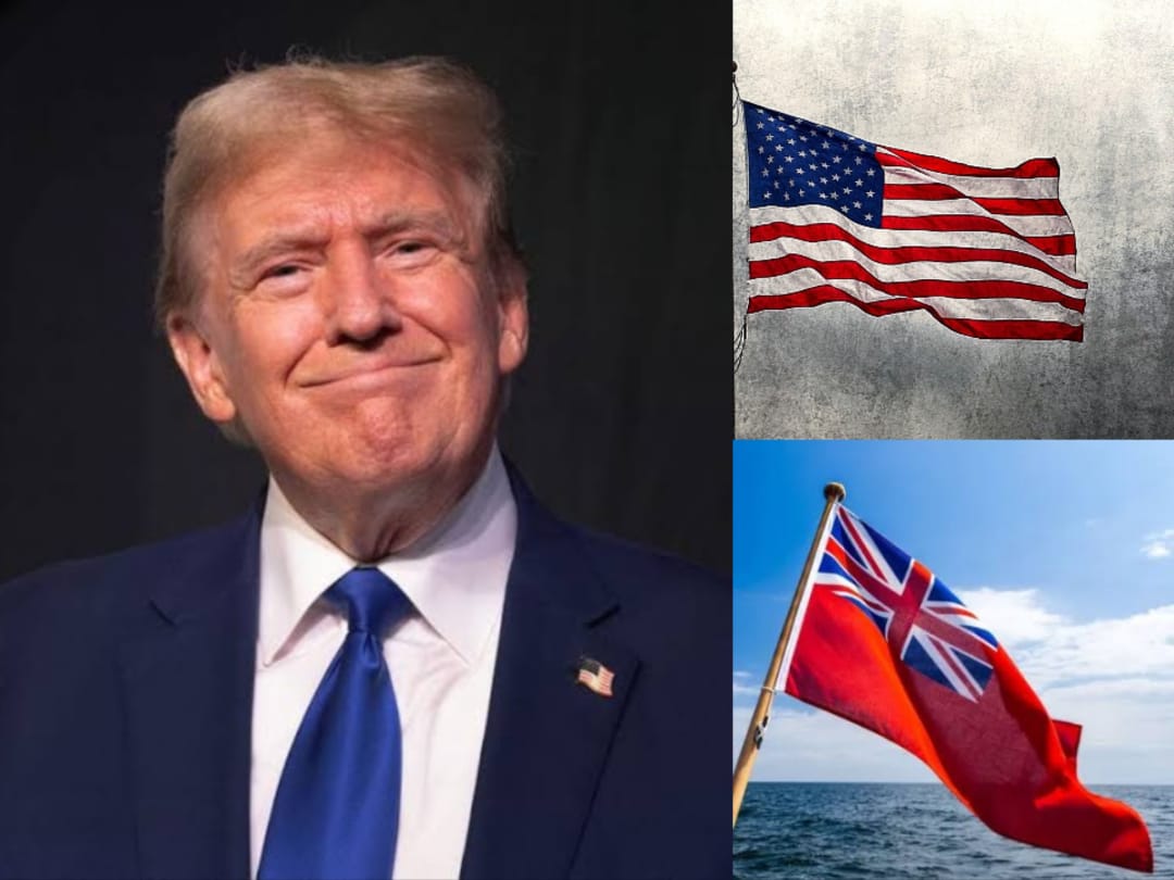 WhatsApp Image 2024-11-06 at 20.58.53_8cfaf201