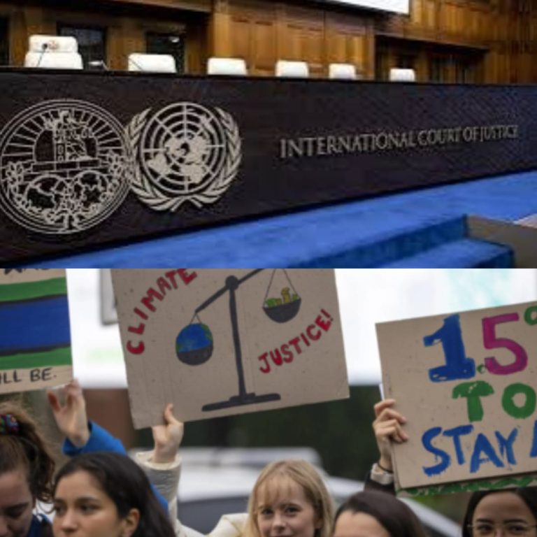 WhatsApp Image 2024-12-03 at 05.55.11_210be14b