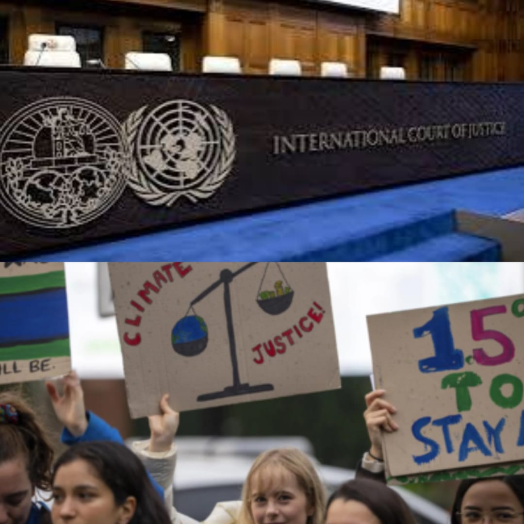 WhatsApp Image 2024-12-03 at 05.55.11_210be14b