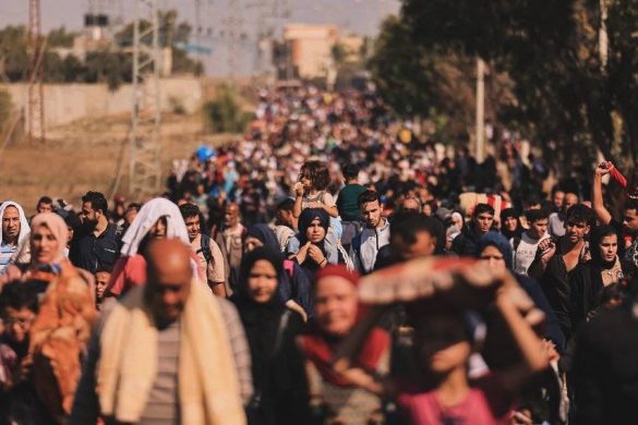 WhatsApp Image 2024-12-03 at 12.04.34_c8e90623