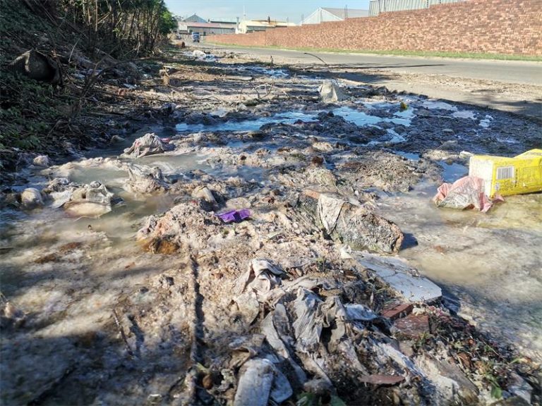 WhatsApp Image 2024-12-12 at 11.06.56_6e3c32b3