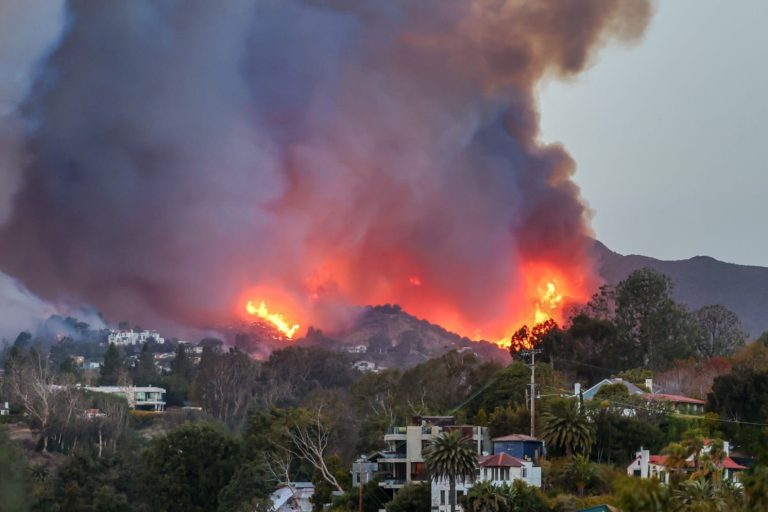 Wildfires in LA