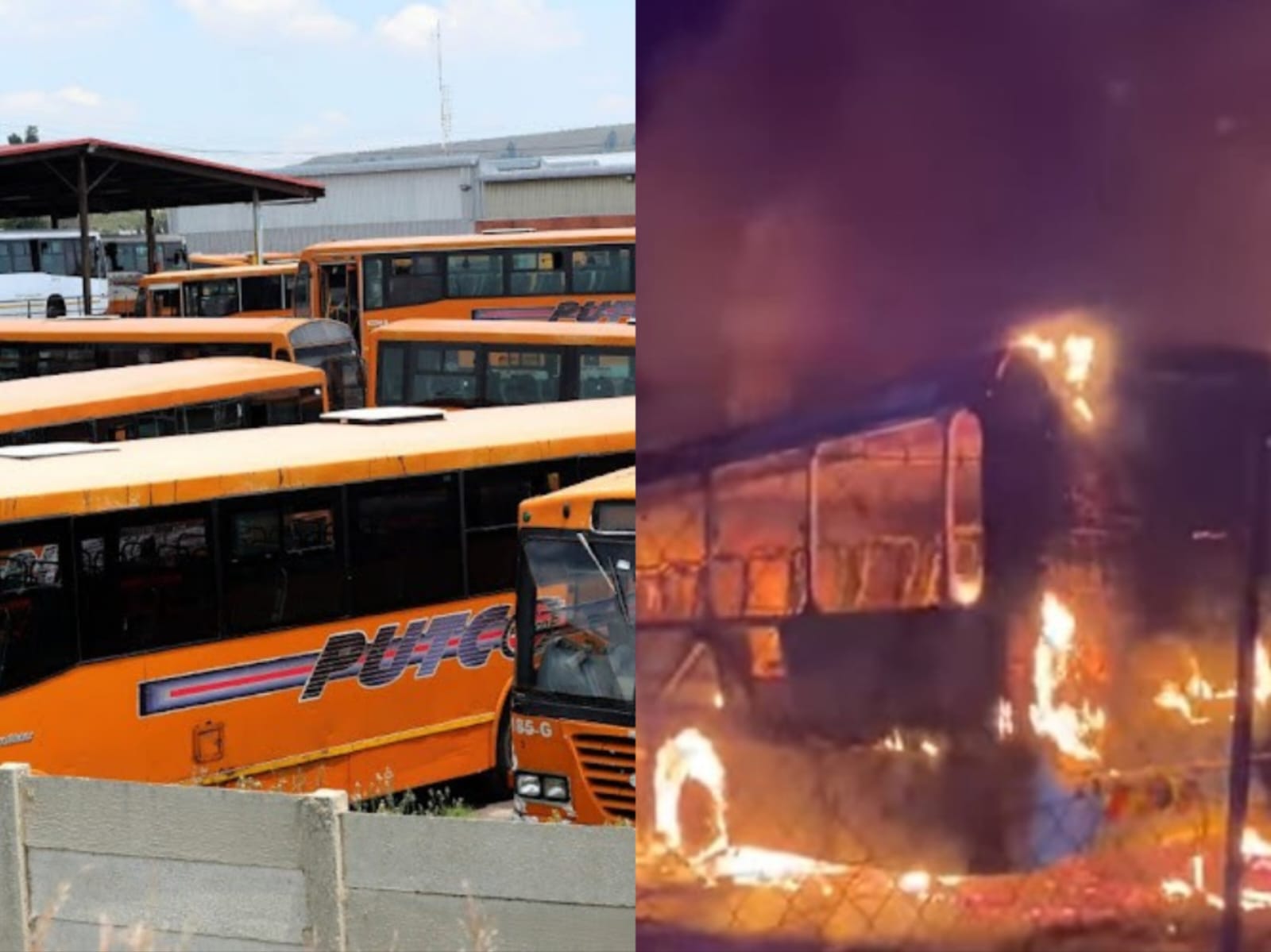 Alleged criminals set Putco buses on fire.