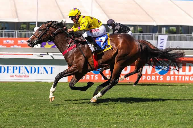 South African sprinter set for Turf Dash Stakes before Al Quoz Sprint. Image: HollywoodBets.