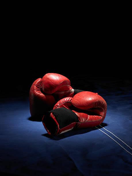 Gayton McKenzie Pushes to Revive SA Boxing