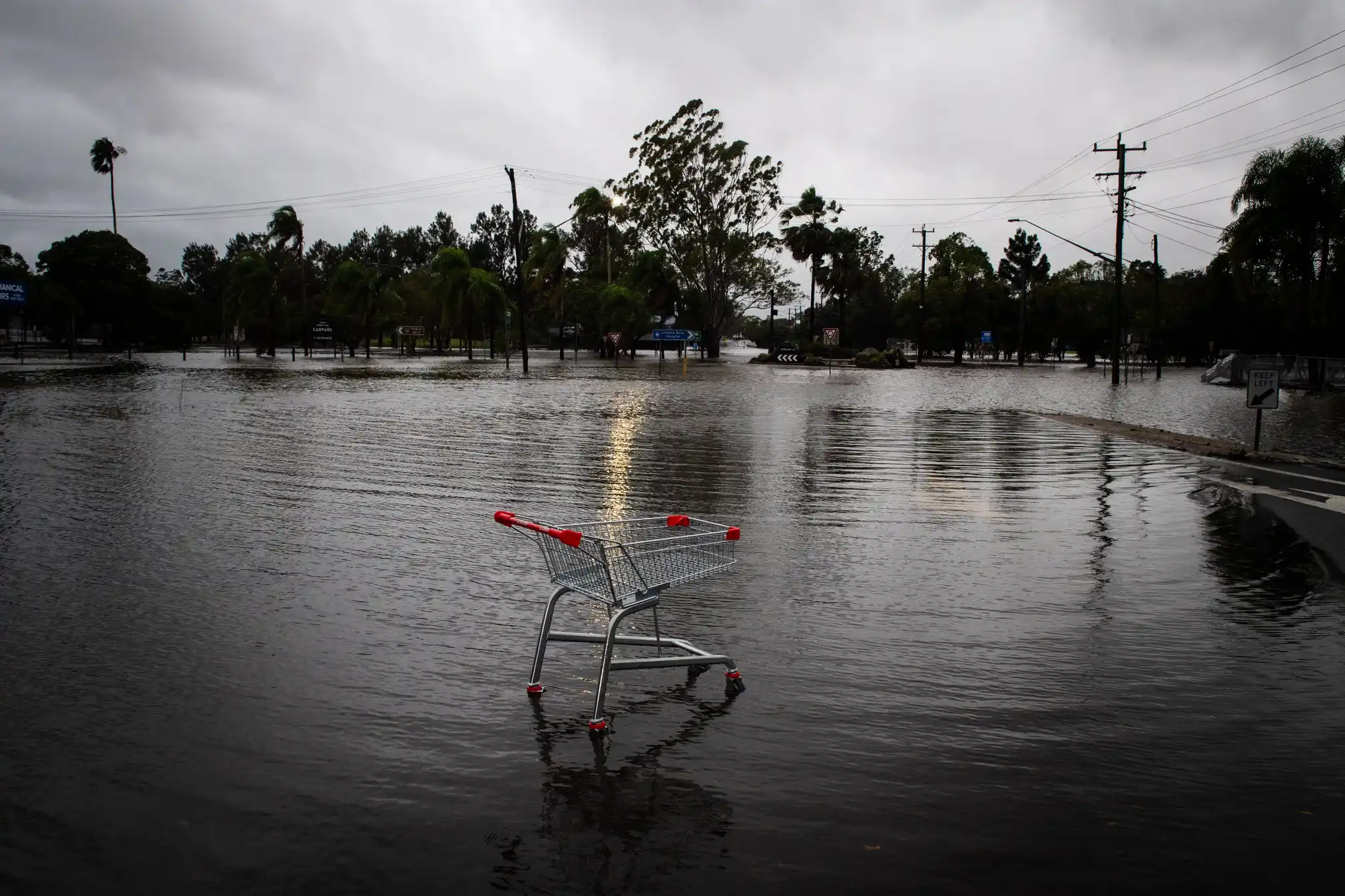 Cyclone Alfred