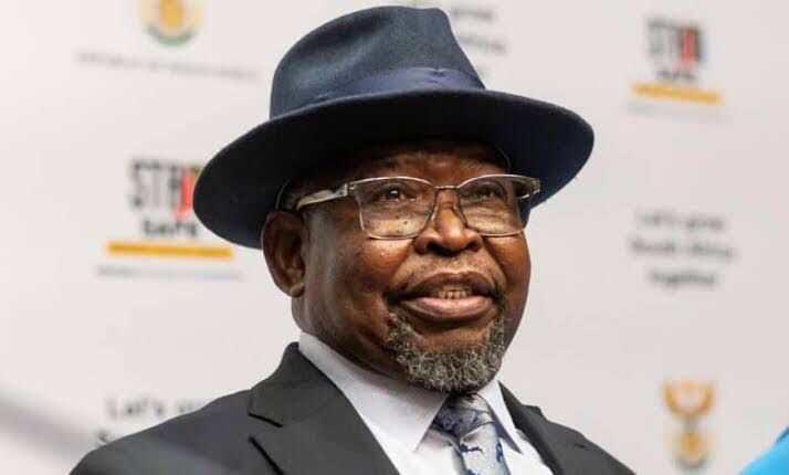 Godongwana Criticized For Tying SRD Grants To VAT Hike