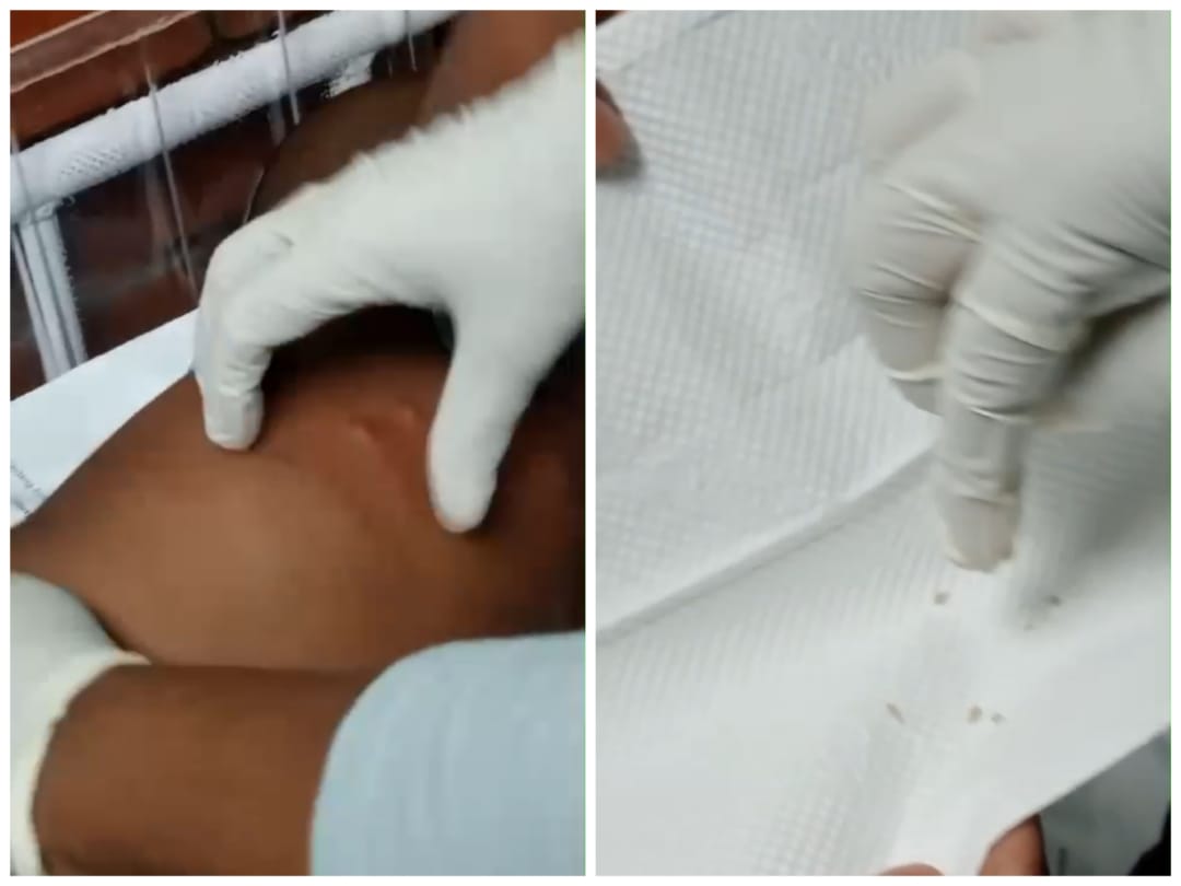 Health officials have confirmed that there is no disease outbreak in Pretoria.