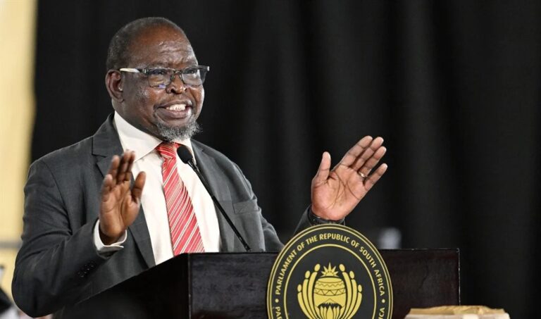 Finance Minister Enoch Godongwana says VAT increase has been blocked for now in order to give Treasury time to rework the numbers and submit a revised fiscal framework to Parliament, photo: Phando Jikelo/SA Parliament