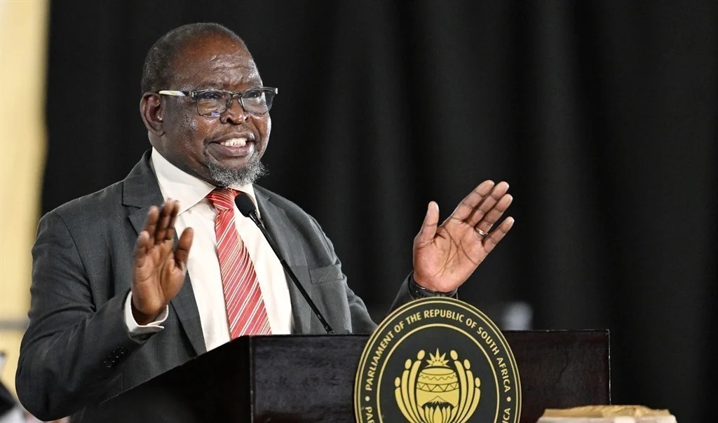 Finance Minister Enoch Godongwana says VAT increase has been blocked for now in order to give Treasury time to rework the numbers and submit a revised fiscal framework to Parliament, photo: Phando Jikelo/SA Parliament