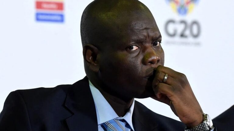 International Relations Minister Ronald Lamola has rejected the "lies, untruths and propaganda" peddled about South Africa's foreign policy position on various matters, photo: IOL