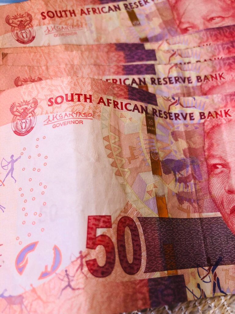 DA reports positive engagement on budget. Image: Natalie Semono.