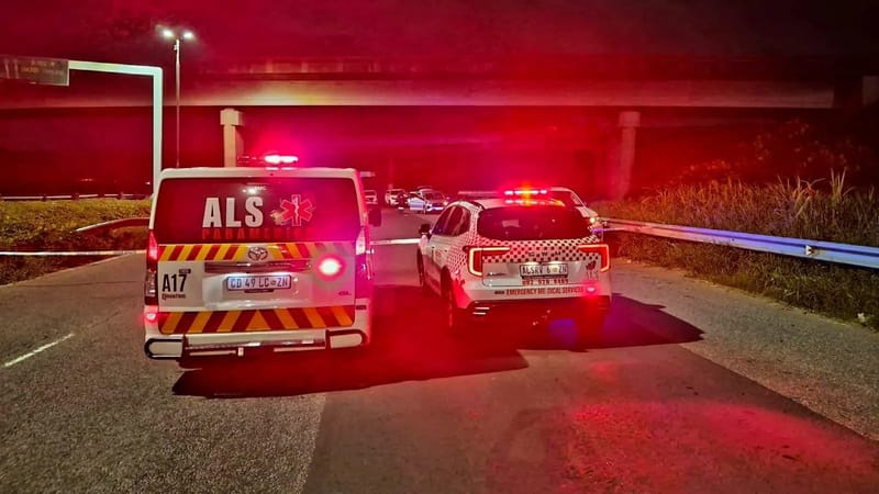 Four suspects killed during a gunfight with KZN police in Durban South, on the M4 near the N2 bridge. Image: IOL.
