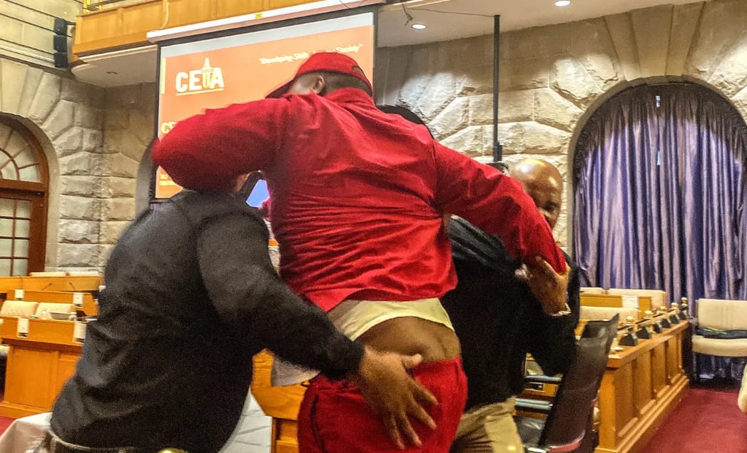 Member of Parliament Sihle Lonzi removed from the meeting for questioning DG about Mantashe's son appointment. Image: SA Parliament