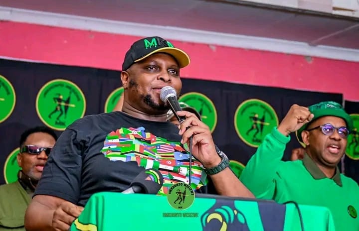 Africa Day should be about decolonization, Shivambu dilivered an Africa Day lecture in Thembisa | Image: Floyd Shivambu shared via Facebook