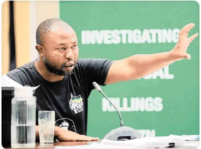 Thabiso Zulu, anti-corruption activist and close friend of the late Sindiso Magaqa, says he feels a sense of relief after a hitman's confession suggested possible state involvement in Magaqa’s 2017 assassination. Image: Sibonelo Ngcobo / Independent Media