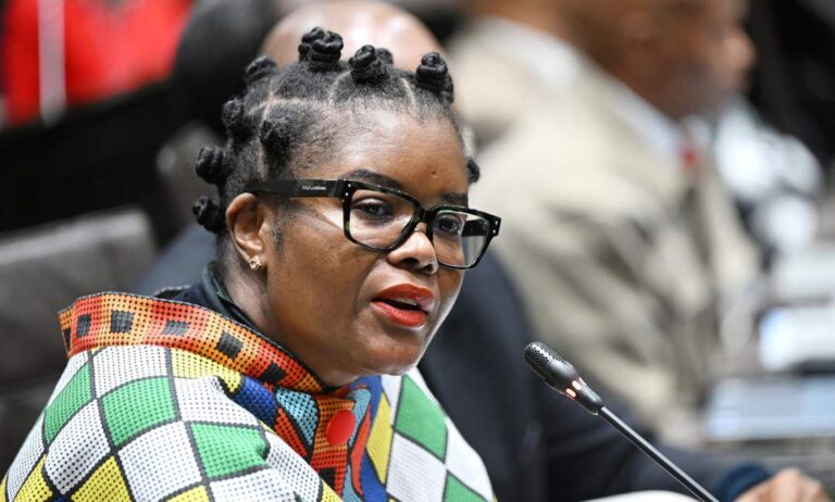 Minister Nkabane accused of misleading parliament | Image: News24