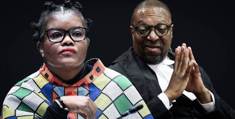 Minister Nobuhle Nkabane issues a formal apology to Advocate Terry Motau after mistakenly naming him as chair of the SETA appointment panel, sparking political backlash. Image: Gallo Images