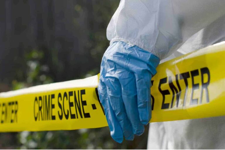 Police have launched a murder investigation following the discovery of three male bodies in an open field on Thursday. Image: Supplied