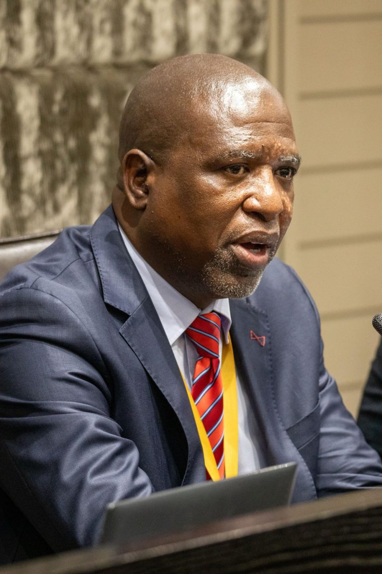 MP Molapi Soviet Lekganyane elected as chairperson of Ad Hoc committee investigating allegations against KZN Police Commissioner.