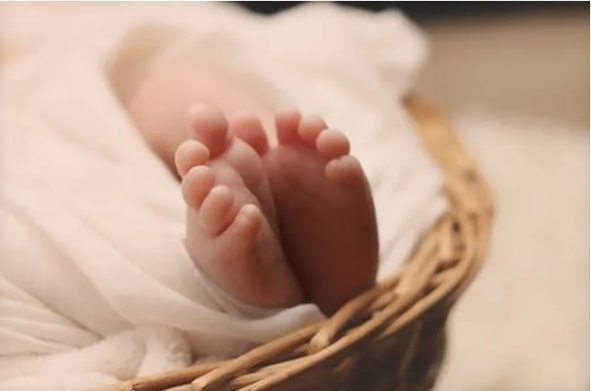 Fetus in Chicken Meat close-up of infant feet wrapped in soft fabric inside a wicker basket.