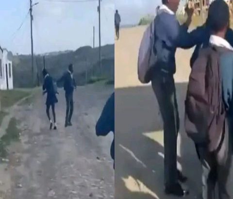 Eastern Cape Schoolgirl Assaulted in Viral Video: Public Demands Action as Education Department Launches Investigation.