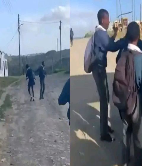 Eastern Cape Schoolgirl Assaulted in Viral Video: Public Demands Action as Education Department Launches Investigation.