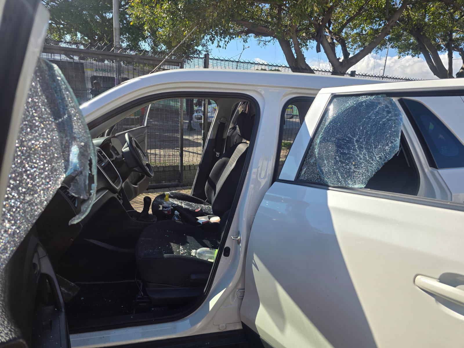 Violent Smash-and-Grab Attack on DA MPs