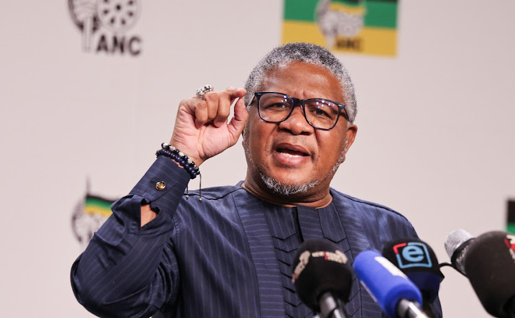 Fikile Mbalula