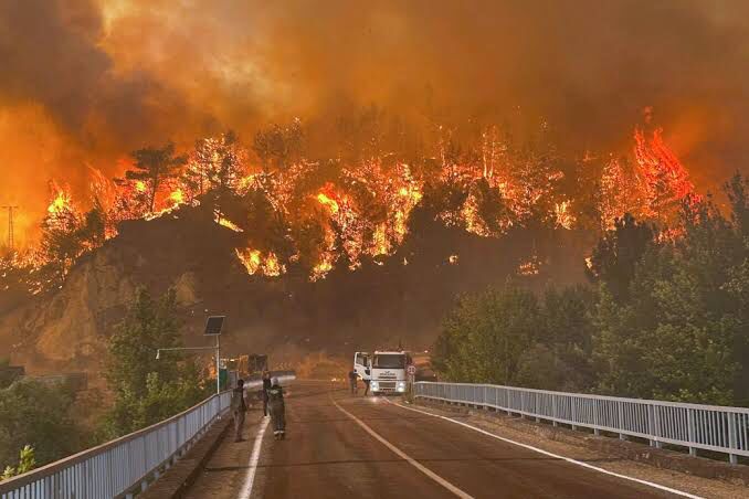 Wildfire in Turkey
