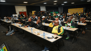 Service Delivery Action Plan at FNB Stadium meeting
