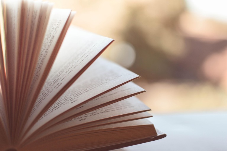 A 7-year-old Bloemfontein girl is the new author of business book