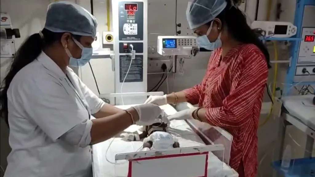 India: 20-Day-Old Baby Buried Alive Rescued and Hospitalised