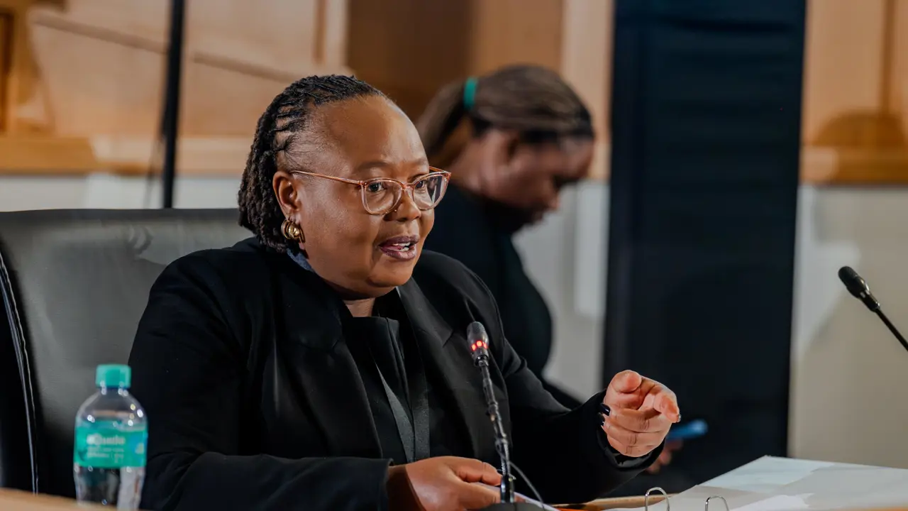 KwaZulu-Natal Director of Public Prosecutions (DPP) Elaine Harrison at Madlanga Commission