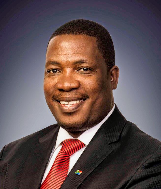 Panyaza Lesufi defeats DA Oust attempt