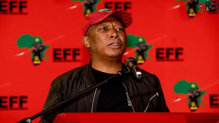EFF leader Julius Malema